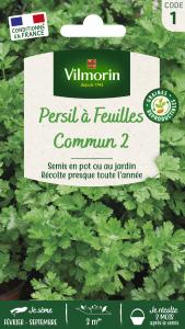 Persil Commun 2